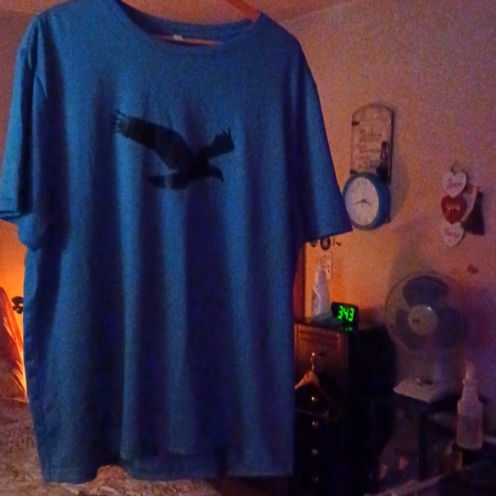 A blue short sleeve tee stretch with  eagle on front